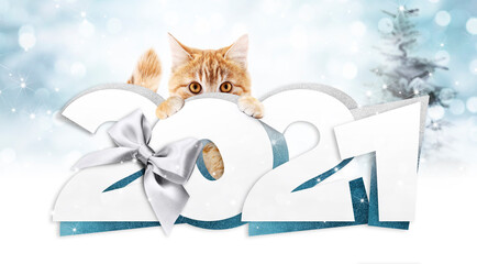 2021 happy new year number text with funny ginger cat isolated on blurred lights background for happy new year greeting gift card