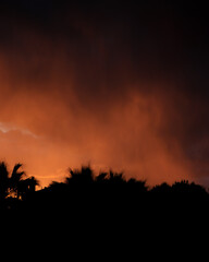 Naklejka premium sunset in the desert