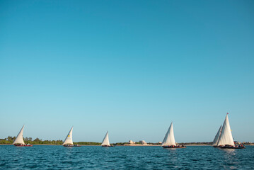 Fototapeta premium Sailboat regatta