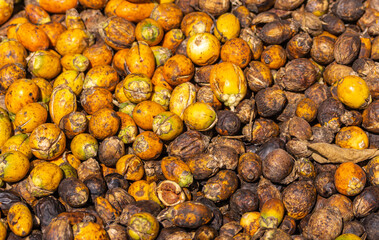 Kadenahalli, Karnataka, India - November 3, 2013: Closeup of  discarted yellow and brown rotten skin and meat of betel nuts, AKA Areca nuts. Cuts visible.