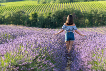 jeune fille au milieu d'un  champ de lavande