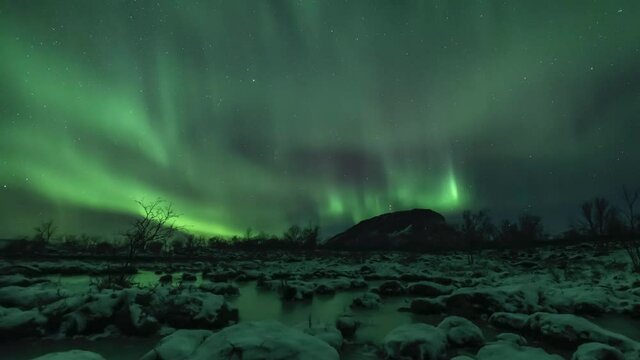 Auroras filling the sky above a frozen swamp, zoom out and tilt down