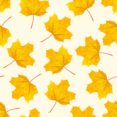Top view flat lay autumnal leaves repeat seamless pattern on light background.