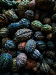 Auyama, comida colombiana, tuberculos
calabaza