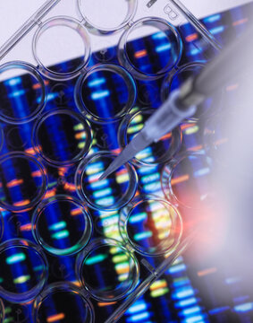 Scientific research on multi well plate for DNA analysis with genetic results in the background