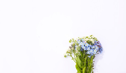 Wild forget-me-not blue and white flowers on white paper background. Copy space. Floral card.