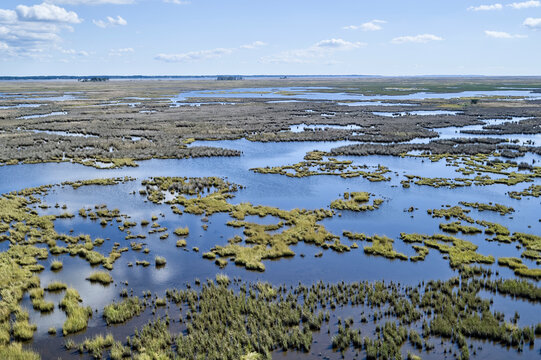 USA, Maryland, Drone View Of Marshes Along Nanticoke River On Eastern Shore