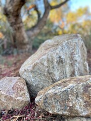wall