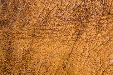 Old vintage genuine soft brown leather texture background, top layer with pores and scratches, macro, close-up