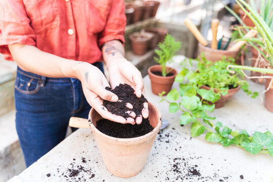 Close-up of woman with soil while standing in garden shed