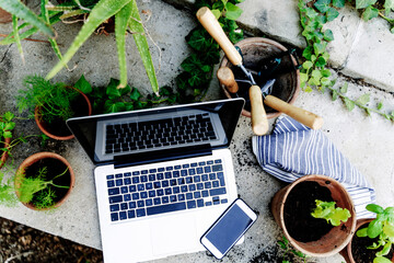High angle view of laptop, smart phone, plant in back yard