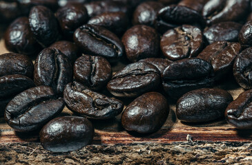 Premium coffee beans close up on wooden background, selective focus