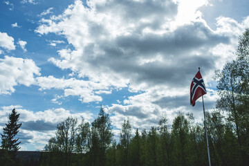 Fototapeta na wymiar Norwegian flag in front of forest and blue sky