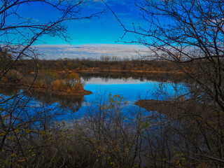 Obraz premium Reflection of trees in the water: Stunning and vibrant landscape view of a brilliant blue sky reflected in water in a late autumn landscape scenic view framed by bare tree branches