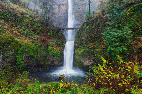 waterfall in the woods