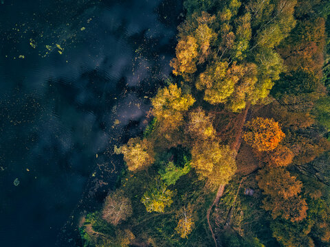 Aerial view of Bethany pond and tree