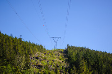 Power lines and tower passing through forest.