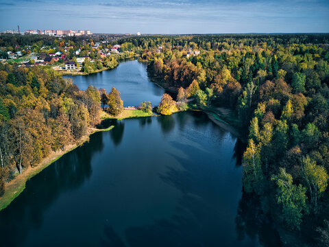 Trees covering lake in city