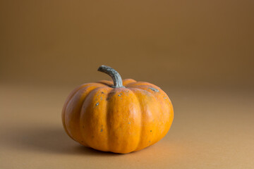 Fresh orange pumpkin isolated on a colorful background. Visible shadow. 