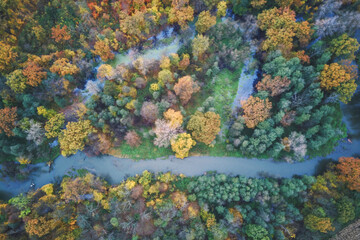 Aerial photography of the river and autumn forest, autumn landscape