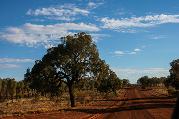 Fototapeta na wymiar Roadtrip through Watarrka National Park, Red Centre Way, Northern Territory, Australia