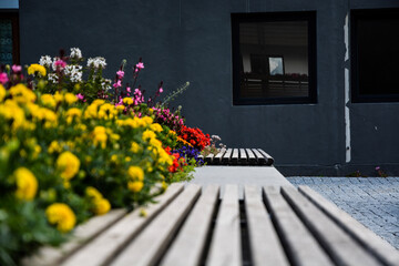 Flower on benches © ciofo