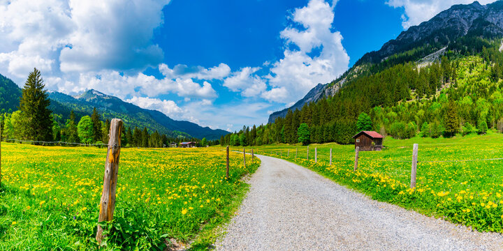 Countryside road stretching along alpine meadows in Stillachtal