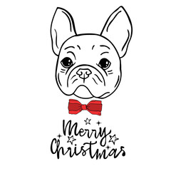 vector French Bulldog with bow. Cute animal vector. Merry christmas letterig card.