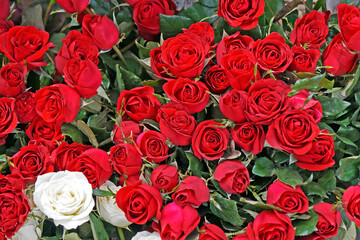 Flowers on marketplace in Ipanema neighborhood
