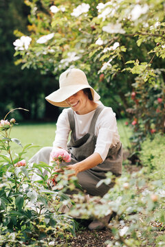 Woman smiling while picking rose flower in garden