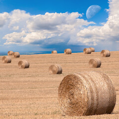 Bales on the field, big yellow round.