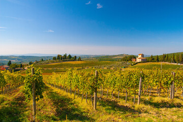 Fototapeta na wymiar Vineyard in Chianti, Tuscany, Italy