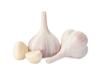Fresh organic garlic bulbs and cloves on white background