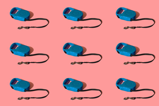 Retractable pet leashes on colored background