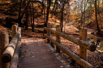 A wooden bridge with fallen leaves over the creek at Seven Bridges Park in South Milwaukee,...