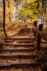 Fallen leaves litter stone steps up a hill at Seven Bridges Park in South Milwaukee, Wisconsin
