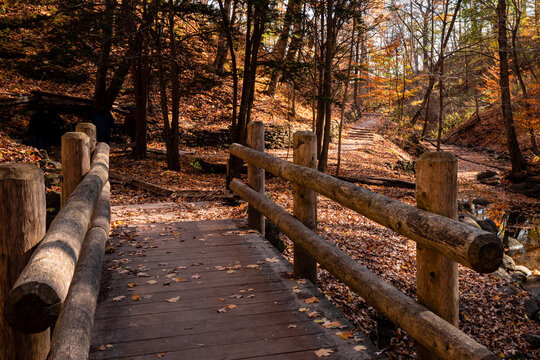 A wooden bridge with fallen leaves over the creek at Seven Bridges Park in South Milwaukee, Wisconsin
