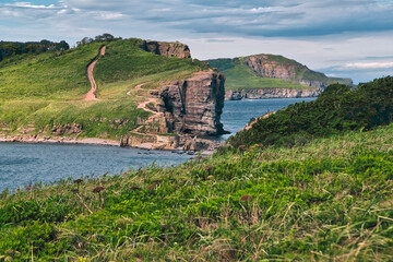 Surface level of grass on russky island at Vladivostok, Russia