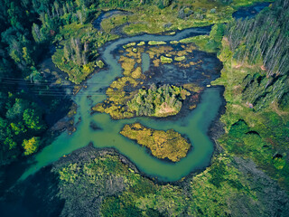 Aerial view of river and green landscape