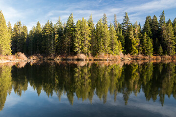 Fototapeta na wymiar Foliage reflects in calm water of Suttle lake in Oregon