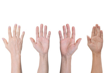 Group of hands raised up, Isolated on white background with clipping path.