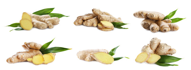 Set of fresh aromatic ginger with green leaves on white background. Banner design
