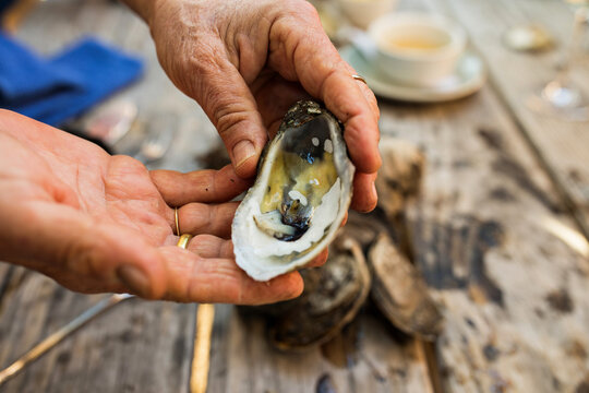 Shucked Oyster Outside on a Table