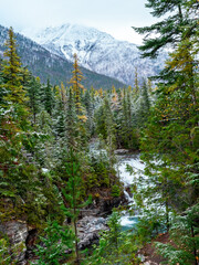 Glacier National Park Snowy Valley