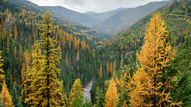 Idaho Valley in Fall
