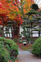 Obraz premium japanese garden in autumn