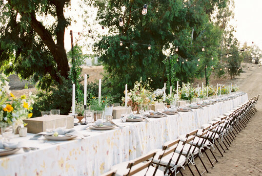 Vineyard Summer Party