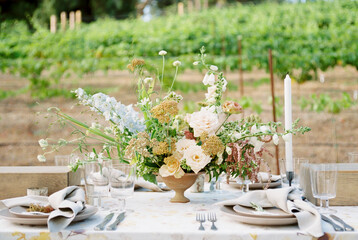 Vineyard Summer Party