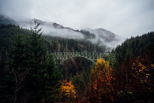 Vance Creek Bridge
