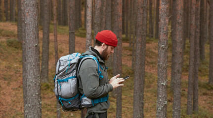 Tourist Using Gadget In Pine Forest